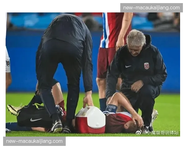 阿森纳队长厄德高膝关节伤情 出战布莱顿成疑状态50% 阿森纳队长厄德高膝关节伤情 出战布莱顿成疑状态50%